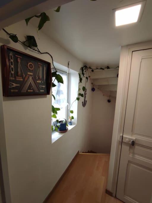 Chaleureuse Maison De Ville Avec Parking Gratuit ชีนง ภายนอก รูปภาพ